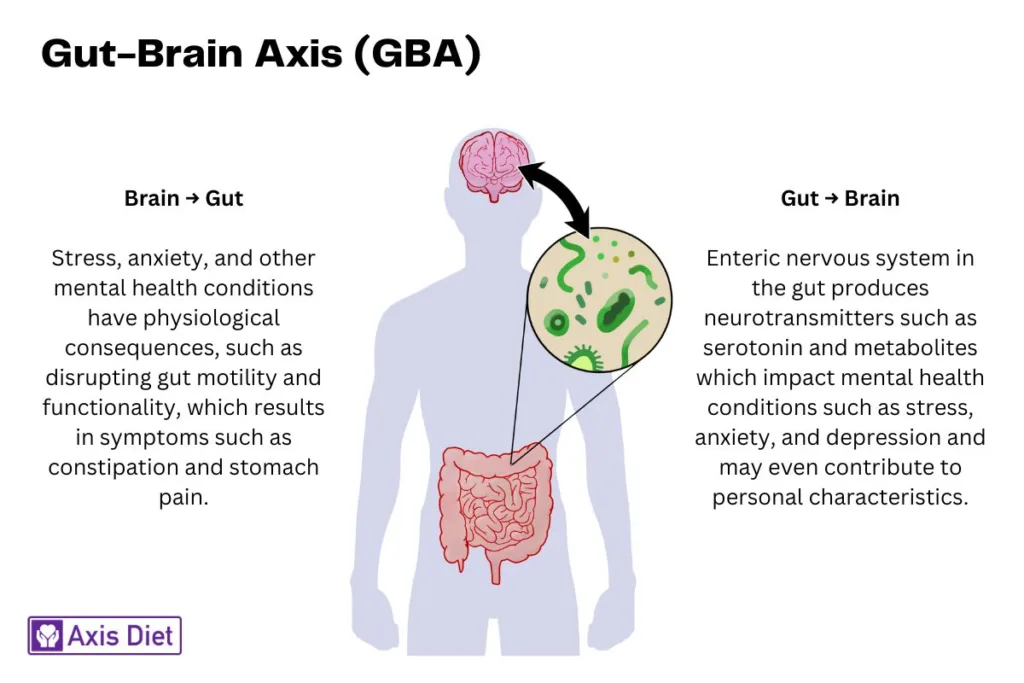 Gut-Brain Axis (GBA)