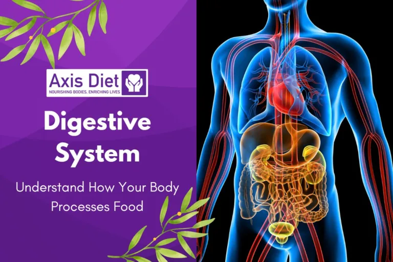 Digestive System